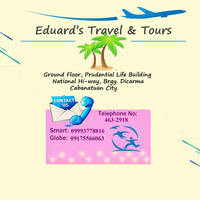 Travel Agency Infographic