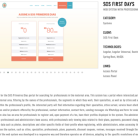 WEB SYSTEM WITH PROFESSIONAL SEARCH PORTAL