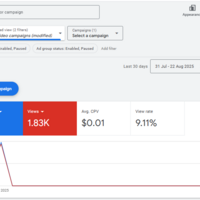 YouTube video campaign through Google Ads