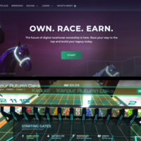 ZED RUN | Digital Horse Racing