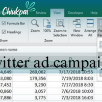 Twitter Ads Campaign 