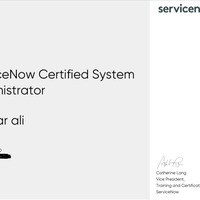 System Administrator