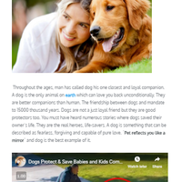 WordPress Management