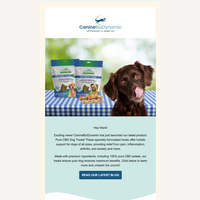 Email Marketing
