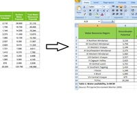 Data Entry (Excel)