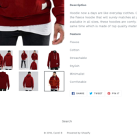 Ecommerce Shopify Management