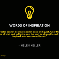 Portfolio Thumbnail 13