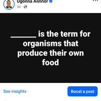 Creating interactive posts Facebook