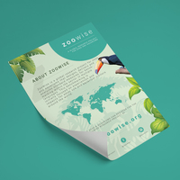 Zoowise flyer design