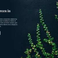Website Landing Page