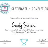 Virtual Assistant sh Course