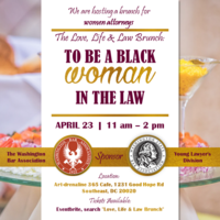 Portfolio Thumbnail 20