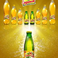 Tuzlanska Pivara 3D Models