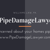 Portfolio Thumbnail 4