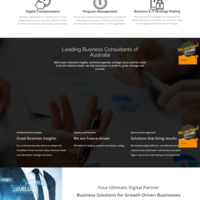 Software Company Website 