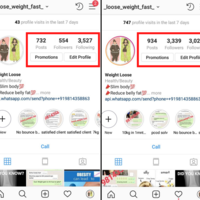 Instagram Followers Growth Organically