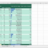 Data entry Project