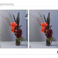 Background Retouching