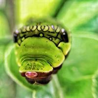 Portfolio Thumbnail 4