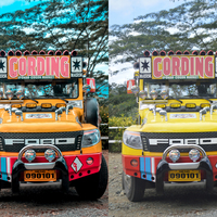 Portfolio Thumbnail 19