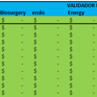 P&L Information Validator