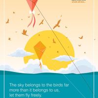 Social media creative