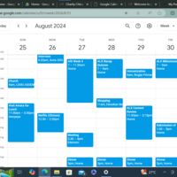 Orgnized populated calendar 