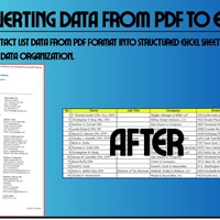 converting data from PDF to Excel
