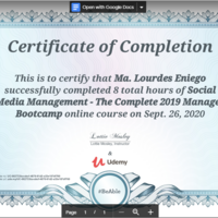 SMM Udemy Certificate