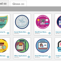 My Credly Badges