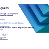 U.S. FEDERAL PROGRAMS
