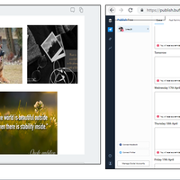 Social Media Management