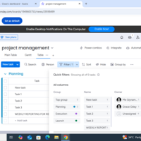 Project management using Monday .com 