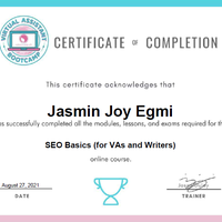 SEO Basics (for VAs & Writers) Certificate