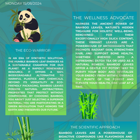 Portfolio Thumbnail 1