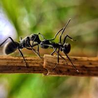 Portfolio Thumbnail 16