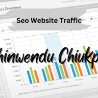 Seo Website Traffic
