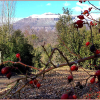 Portfolio Thumbnail 1