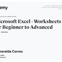 Microsoft Excel Certificate