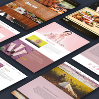 Webiste Interface Design
