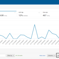 Client's Amazon Ads stats 