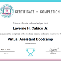Virtual Assistant Certificate