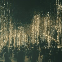 Portfolio Thumbnail 8