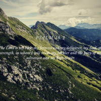 Social Media (Canva) 