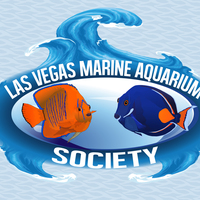 Saltwater Fish Store Graphic