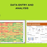 Data Entry and Analysis 