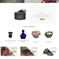 Kluesa.com|online gifting |Ecommerce|Magento