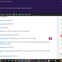 Portfolio Thumbnail 3