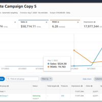 Expert Amazon PPC Strategist | Boosting Sales & ROI 🚀📈