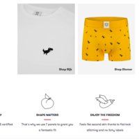 A recent 'tongue-in-cheek' product description project. 